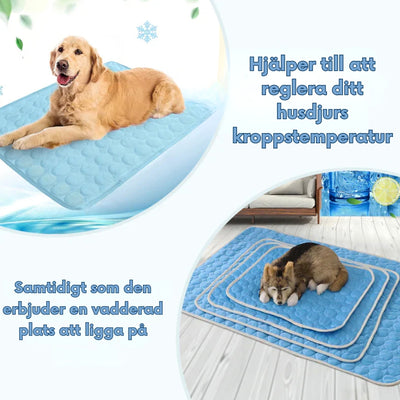 Koelmat - Verkoelende Mat Voor Huisdieren
