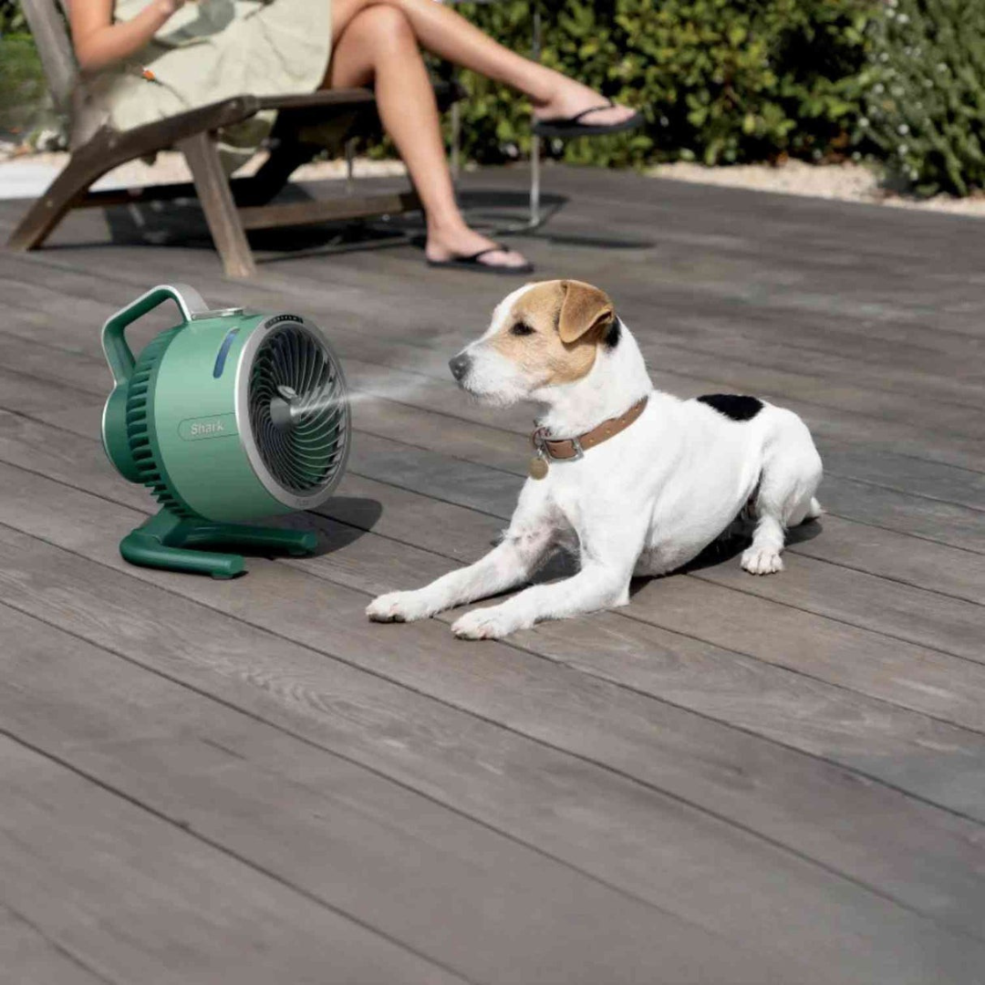 Ventilator - Stille Mini Ventilator met Krachtige Luchtcirculatie - Airstream