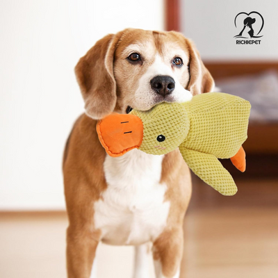 SoundBuddy - Enten Plüsch-Hundespielzeug