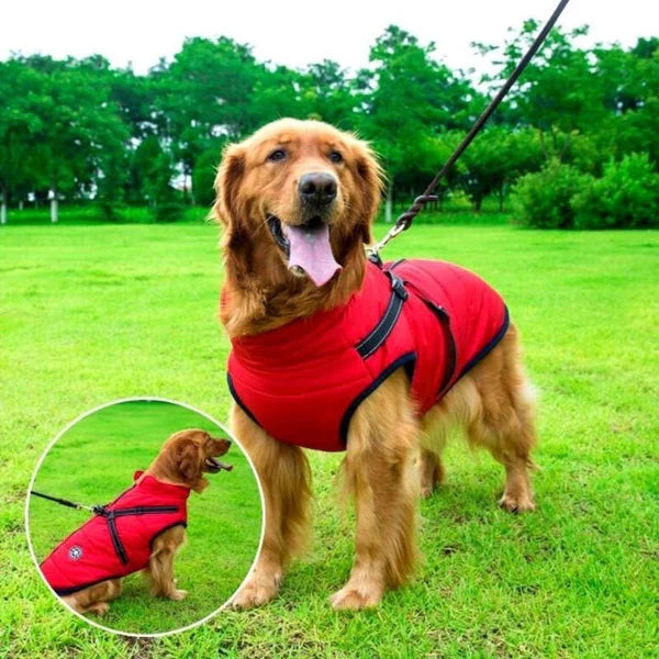 Manteau pour chien - Manteau d'hiver imperméable pour chiens - Pawnesto