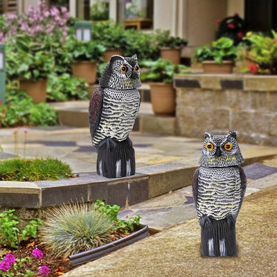 Vogelverschrikker - Realistische Uil Voor Tuinbescherming