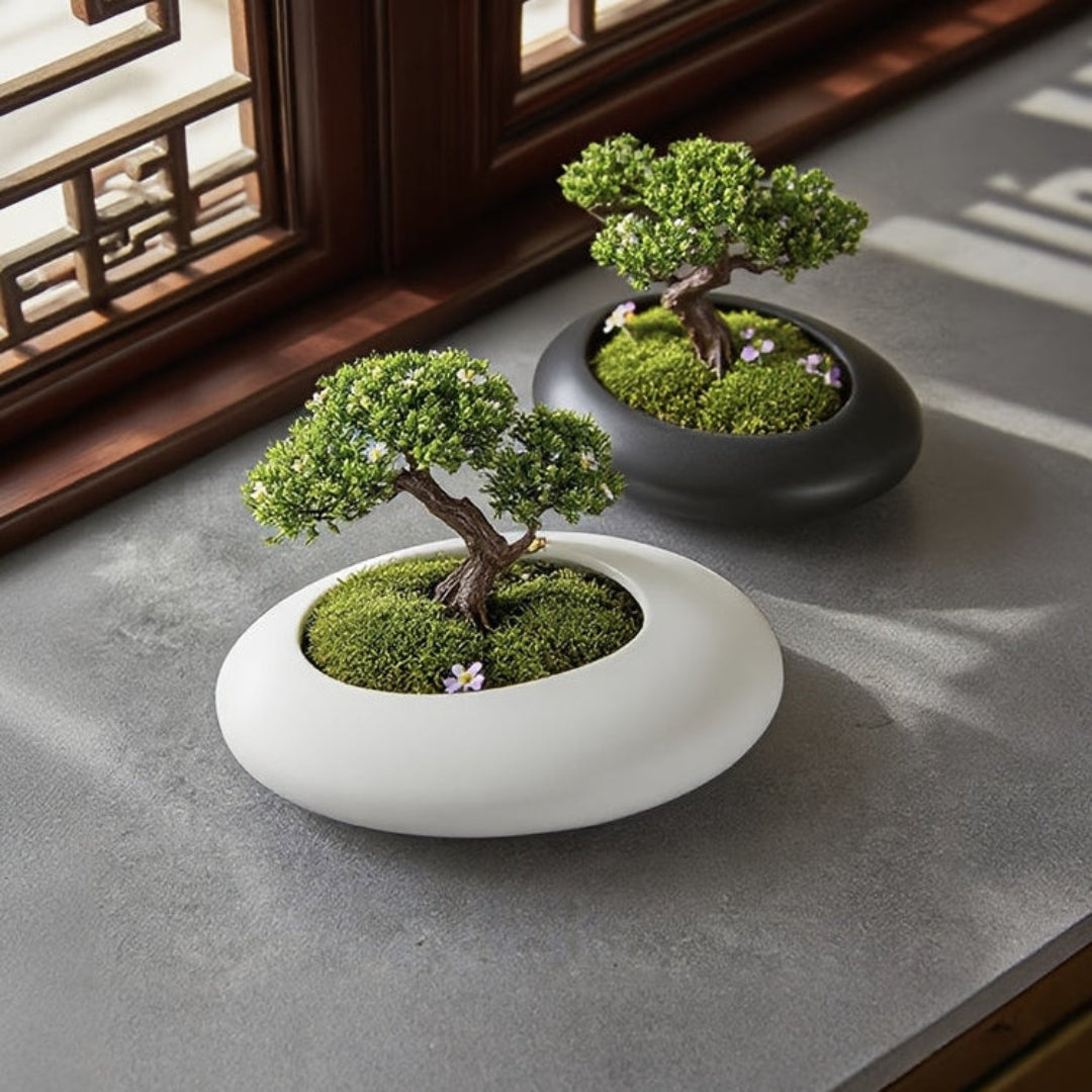 Keramische Bonsai Pot - Decoratieve Ondiepe Plantenpot