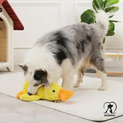 SoundBuddy - Enten Plüsch-Hundespielzeug