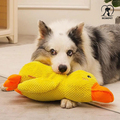 SoundBuddy - Enten Plüsch-Hundespielzeug