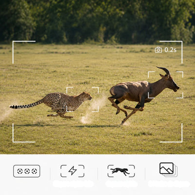 HD Wildcamera - Draadloze Wildcamera met Nachtzicht