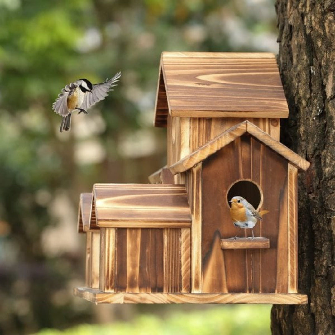 Vogelhuisje - Houten Vogelhuis met 6 Nestopeningen