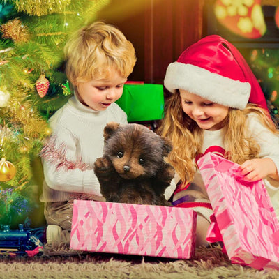 KnuffelCub™ - Het Knuffelbare Avonturenmaatje