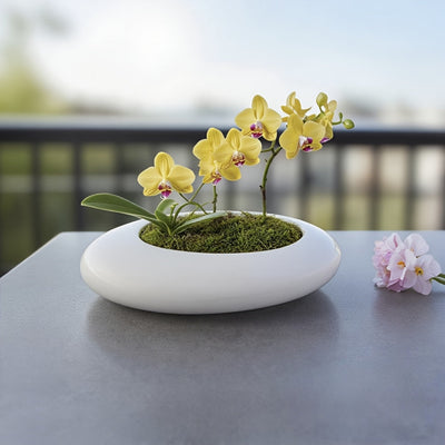 Keramische Bonsai Pot - Decoratieve Ondiepe Plantenpot