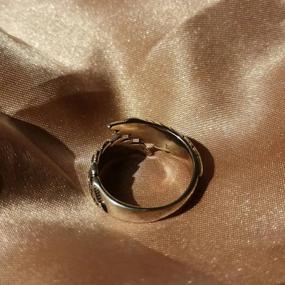 Symbolisch Veren Design met Verstelbare Pasvorm - SilverAura