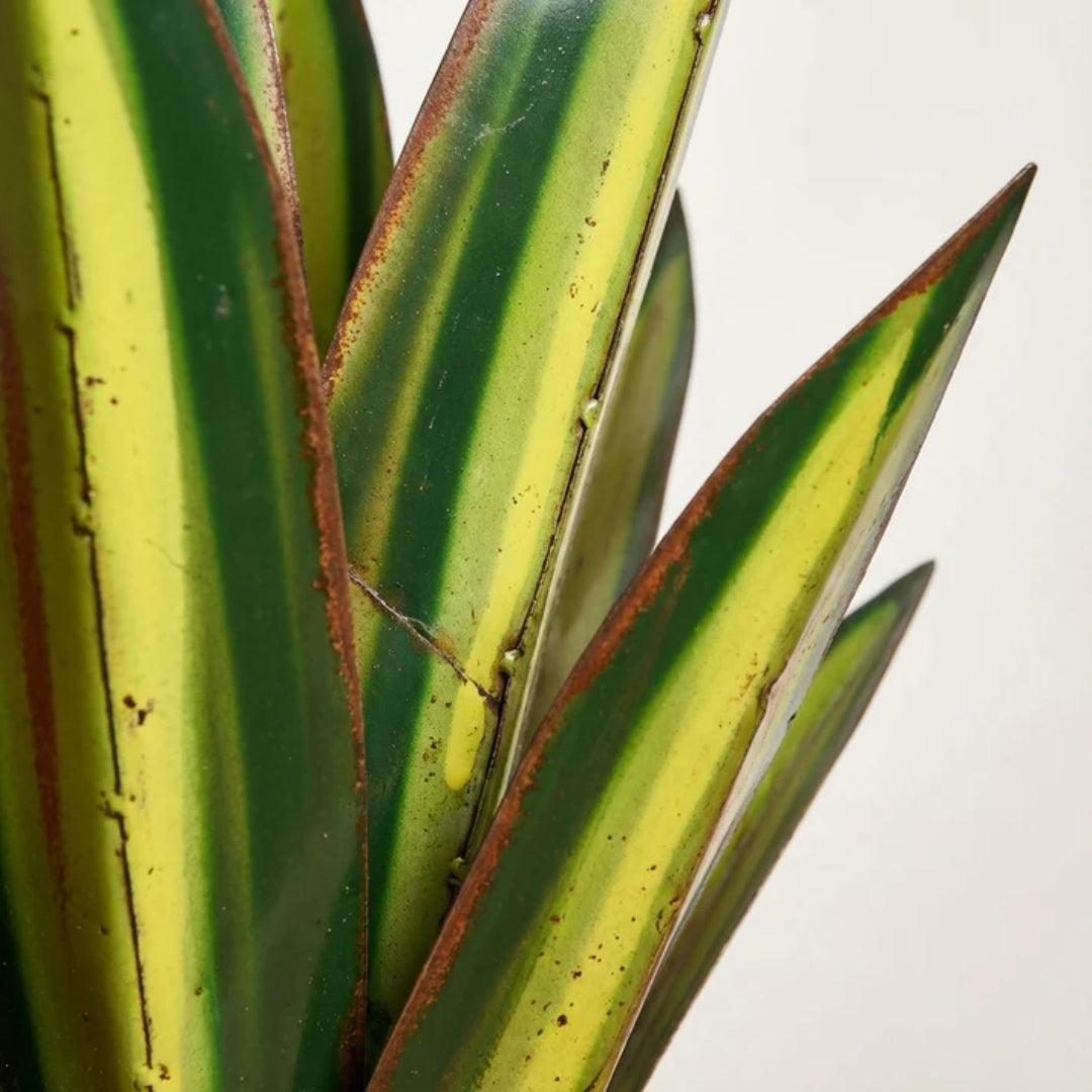 Tuinornament - Metalen Agave met Solar LED Verlichting