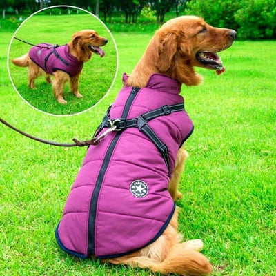 Manteau pour chien - Manteau d'hiver imperméable pour chiens - Pawnesto
