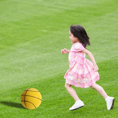 FluisterBounce™- De Stille Basketbal
