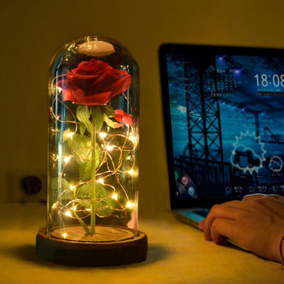 Eternal Rose - Eeuwig Blijvende Roos