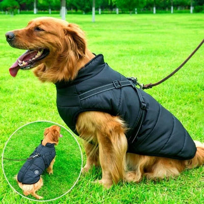 Manteau pour chien - Manteau d'hiver imperméable pour chiens - Pawnesto