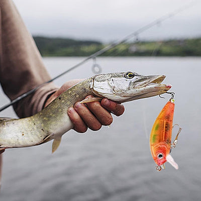 Adventskalender visgerei | VOOR DE ECHTE VISSER