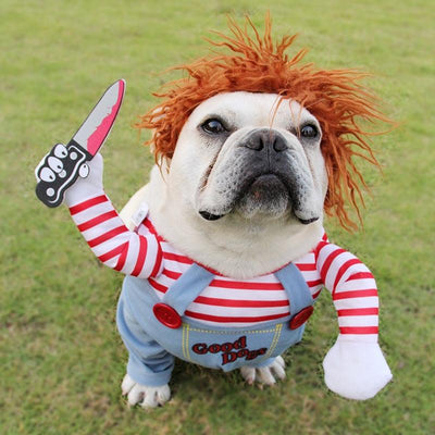 Chucky Paws | Honden Halloween Kostuum