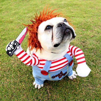 Chucky Paws | Honden Halloween Kostuum