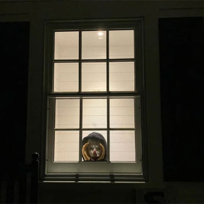 EerieEyes: De Ultieme Halloween Raamgluurder