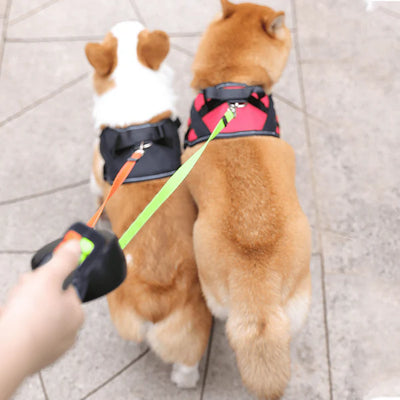 Laisse pour chien - Laisse double anti-emmêlement pour chien - Pawtrexo