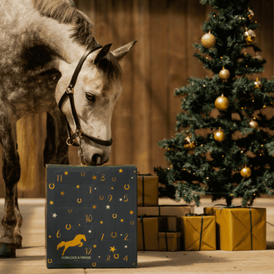 Paarden Adventskalender - Equestrian Edition 2025