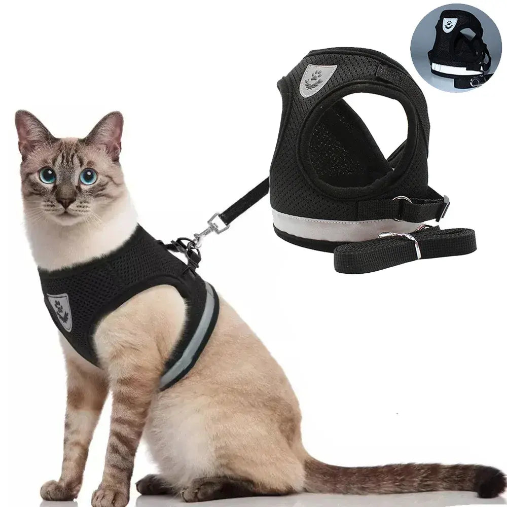 Kattentuigje - Veilig Outdoor Harnas met Lijn - FelineGuard