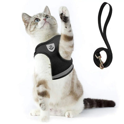 Kattentuigje - Veilig Outdoor Harnas met Lijn - FelineGuard