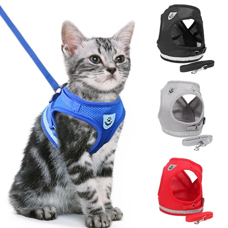 Kattentuigje - Veilig Outdoor Harnas met Lijn - FelineGuard