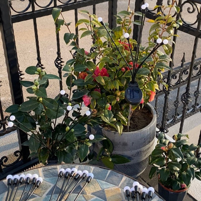 Jiggle™ | Wind Dance Solar Lamp