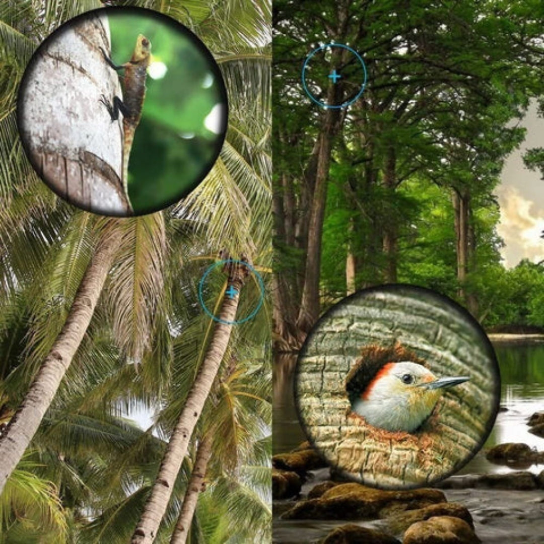 Monocular Telescope - 16x52 HD Zoom for Razor-Sharp Vision