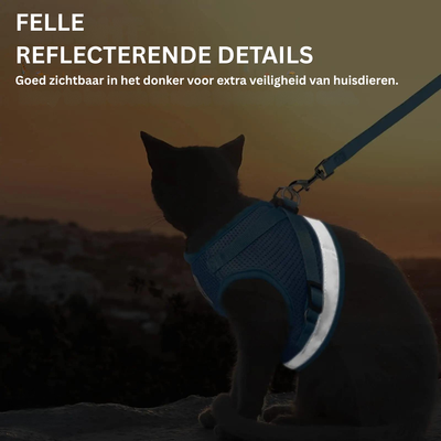 Kattentuigje - Veilig Outdoor Harnas met Lijn - FelineGuard