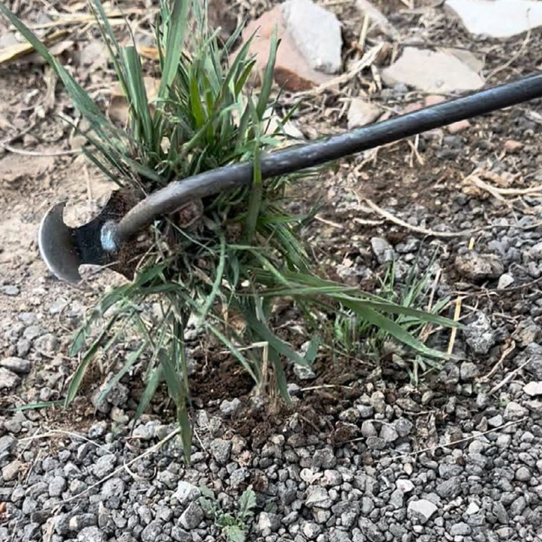 Désherbeur - Outil extra long de 50 cm | Gardexa