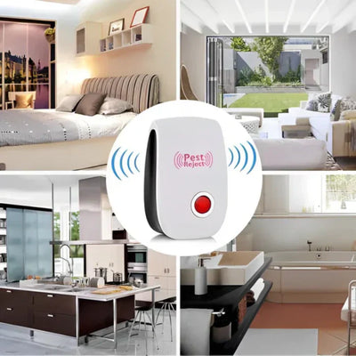 Ongediertewacht | Beschermt Uw Huis Tegen Ongedierte