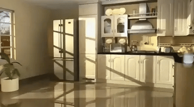 Ongediertewacht | Beschermt Uw Huis Tegen Ongedierte