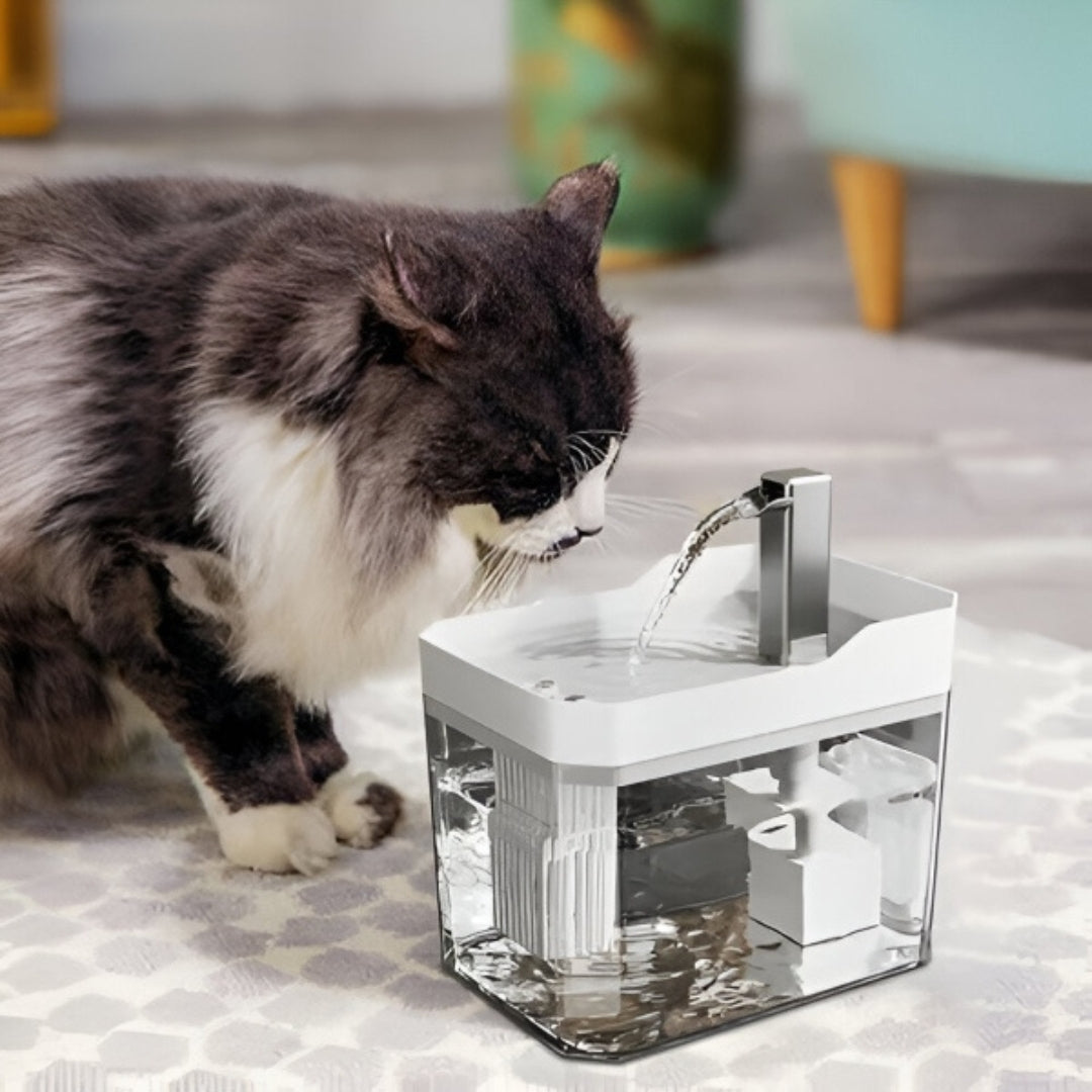 Fontaine à eau - Fontaine à eau automatique pour animaux de compagnie