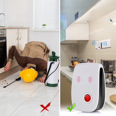 Ongediertewacht | Beschermt Uw Huis Tegen Ongedierte