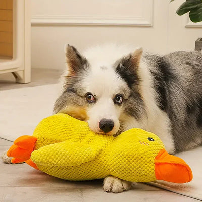DogDuck™ | De nieuwe sterkste partner van uw hond (1+1 GRATIS)