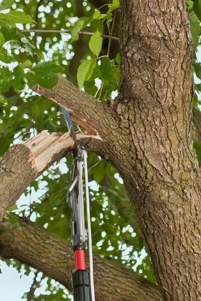 HighCut Pro - Veilig en Moeiteloos Snoeien