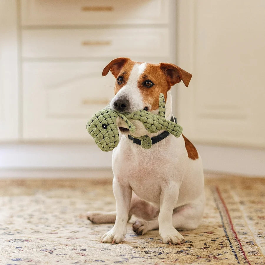 Hondenspeelgoed - Sterk Kauwspeeltje voor Honden - ChewDino
