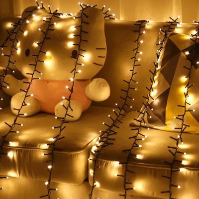 Lichtslinger Buiten – Warm Witte Clusterverlichting tot 1500 LED's (6)