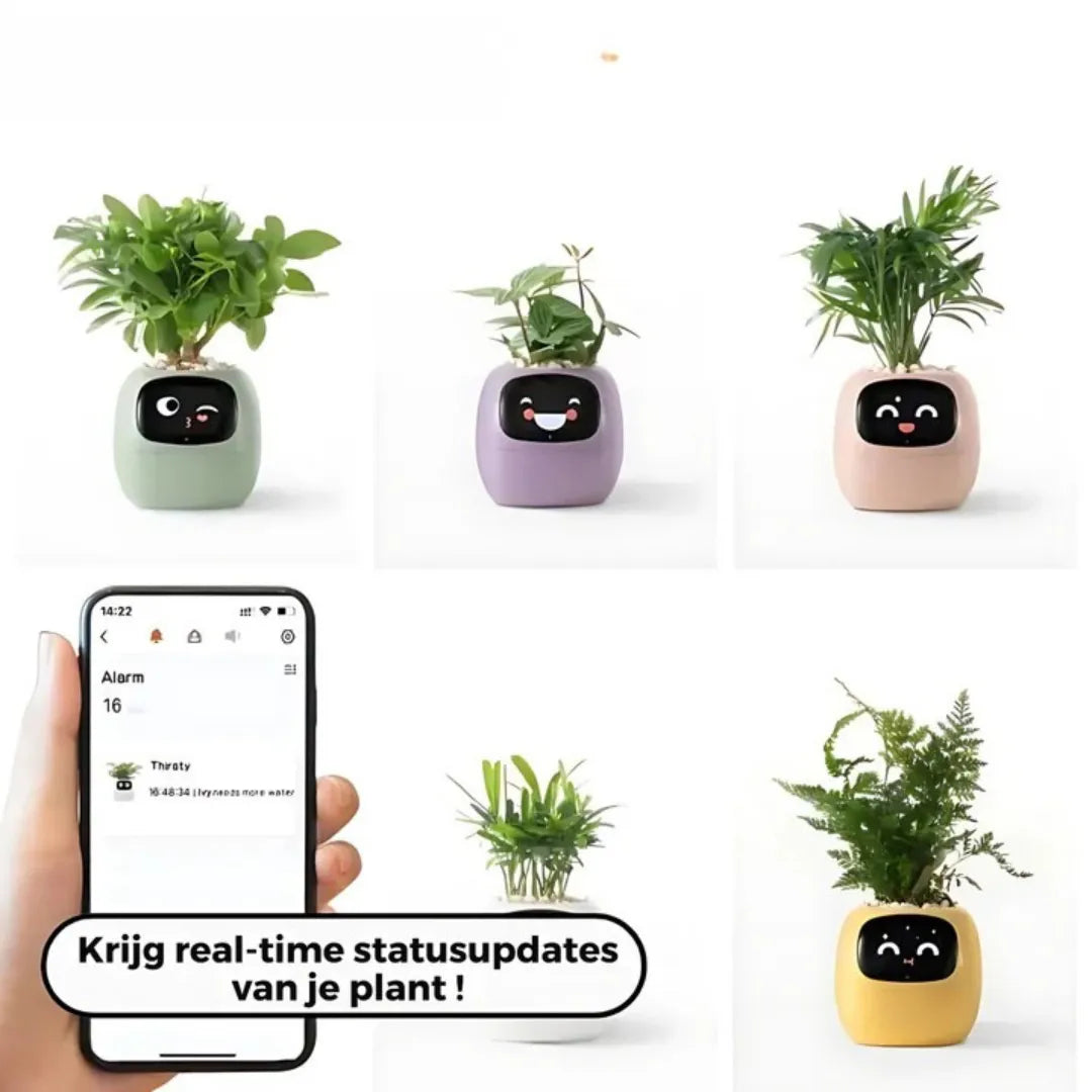 Smart Bloempot - Zelfwaterende plantenpot met app controle | IvySense