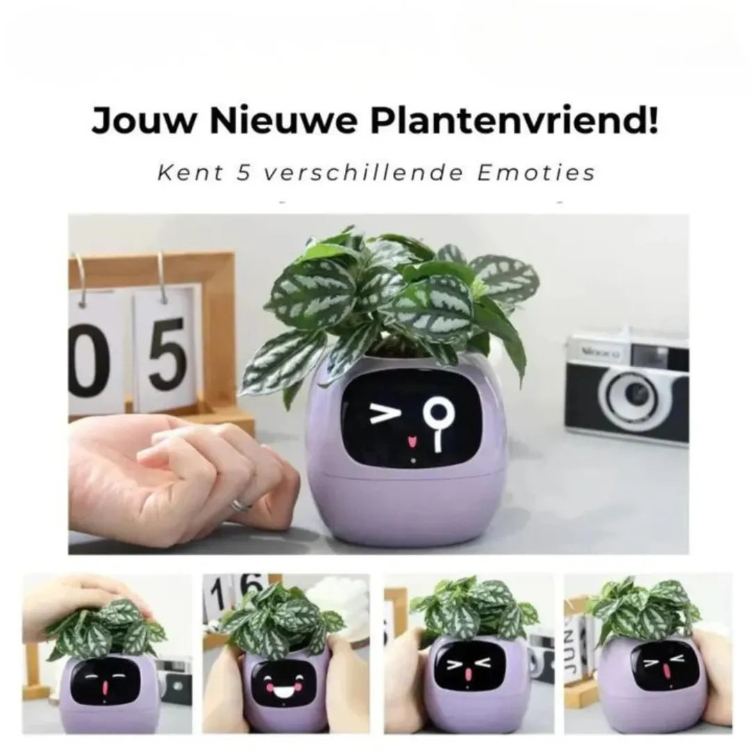 Smart Bloempot - Zelfwaterende plantenpot met app controle | IvySense