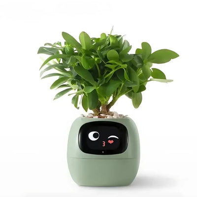 Smart Bloempot - Zelfwaterende plantenpot met app controle | IvySense