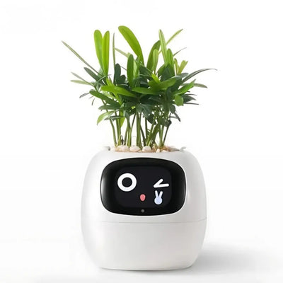 Smart Bloempot - Zelfwaterende plantenpot met app controle | IvySense