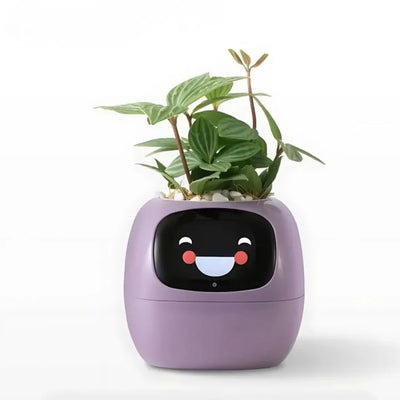 Smart Bloempot - Zelfwaterende plantenpot met app controle | IvySense