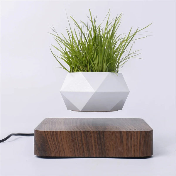 Magic Pot - Une nouvelle façon de décorer !