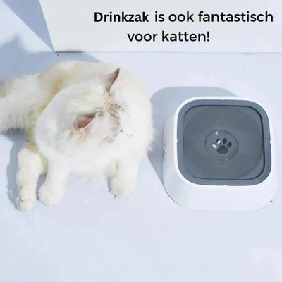 Anti Spat Drinkbak - Morsvrije waterbak voor honden | AquaPaw