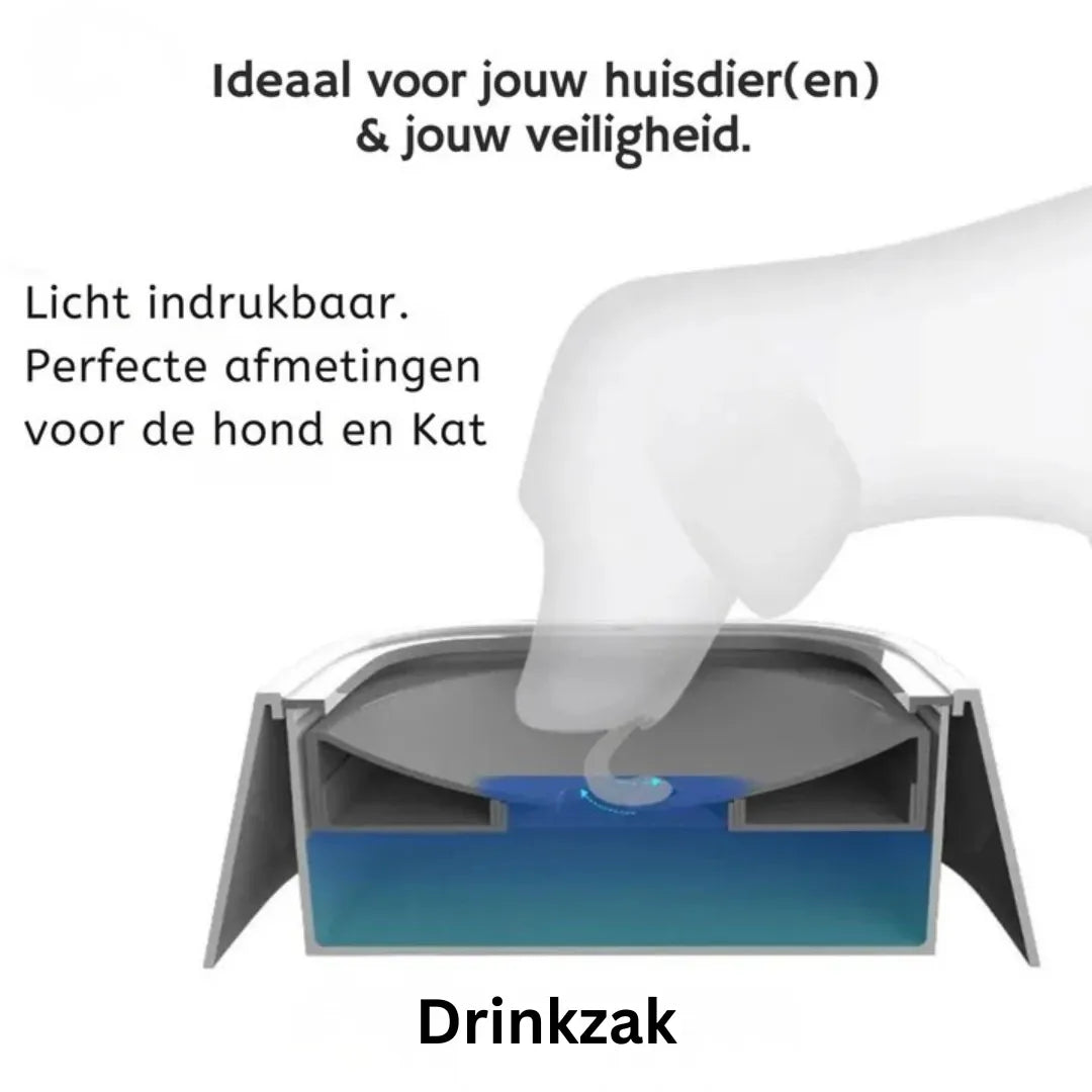 Abreuvoir anti-éclaboussures - Gamelle anti-débordement pour chiens | AquaPaw